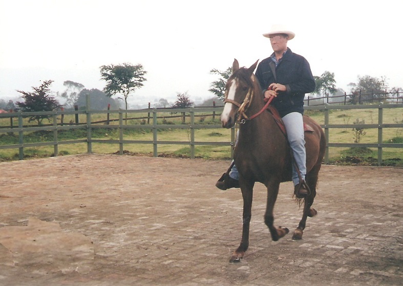 corral establo pesebrera para caballos corrales caballos pesebreras caballos establos caballos picadero corral pista caballería caballos de paso fino equitación salto trocha percherones 00 corral establo pesebrera para caballos corrales caballos pesebreras caballos establos caballos picadero corral pista caballería caballos de paso fino corral establo pesebrera para caballos corrales caballos pesebreras caballos establos caballos picadero corral pista caballería caballos de paso fino equitación salto trocha percherones 00 equitación salto trocha percherones 00